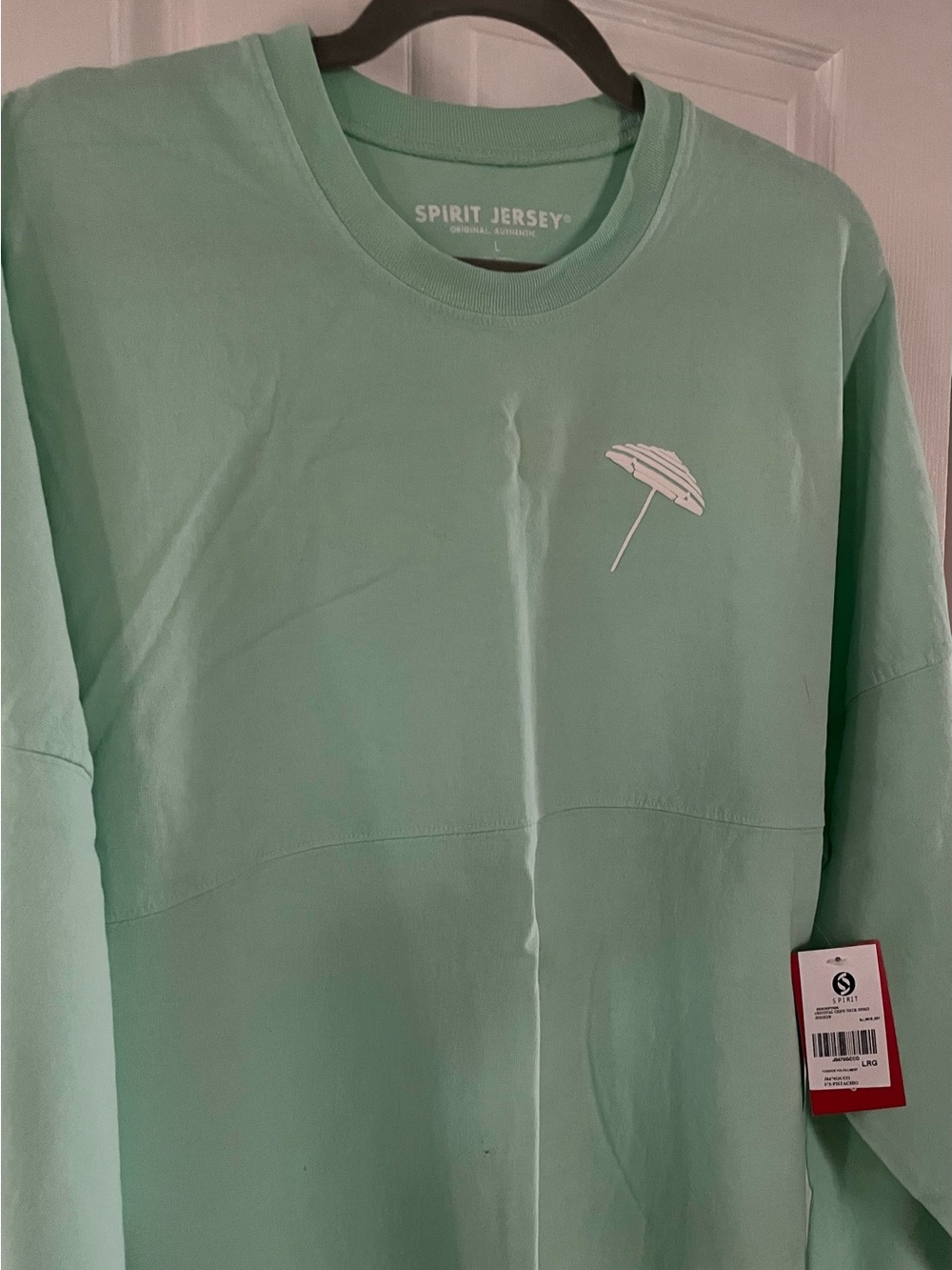 Men's Mint Green Long Sleeve Shirt